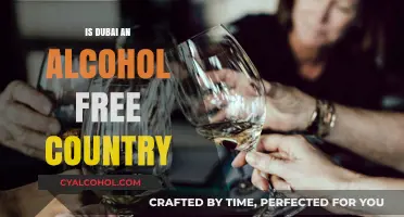 Dubai and Alcohol: Debunking Myths About Its Alcohol-Free Status