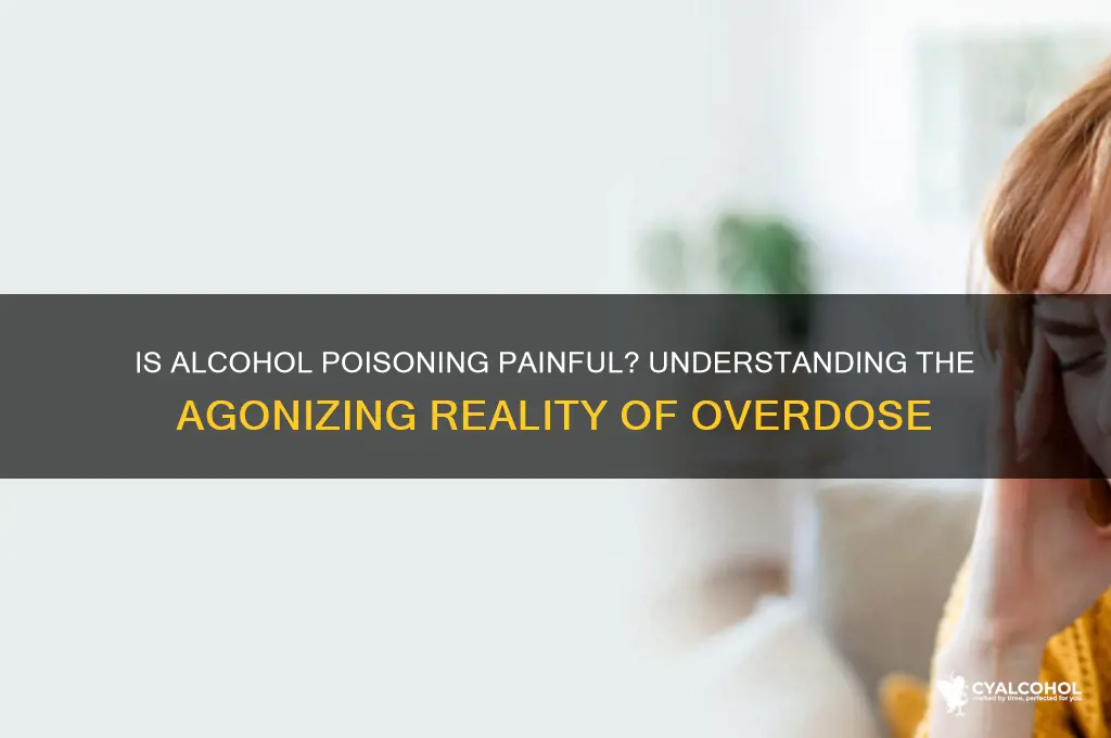 is dying from alcohol posining painful