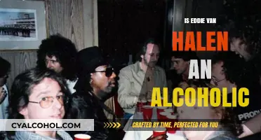 Eddie Van Halen's Alcoholism: Separating Fact from Fiction in His Legacy