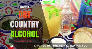 Is Egypt a Dry Country? Exploring Alcohol Laws and Culture