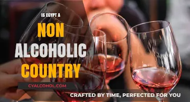 Exploring Egypt's Alcohol Laws: Is It a Non-Alcoholic Nation?