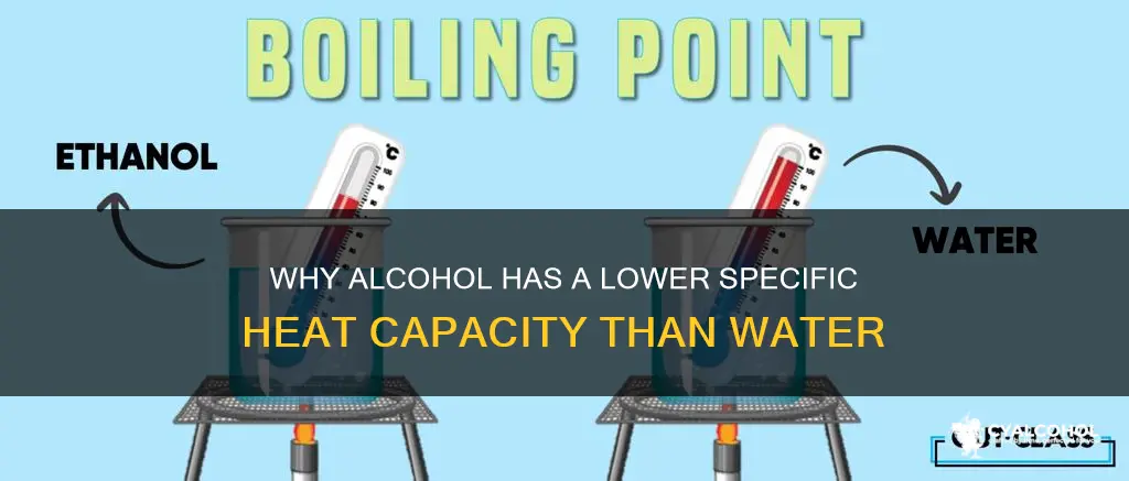 is epcific heat capacity of alcohol higher than water