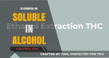 Are Essential Oils Soluble in Alcohol? A Comprehensive Guide
