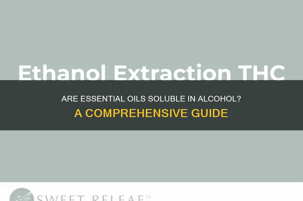 is essential oil soluble in alcohol
