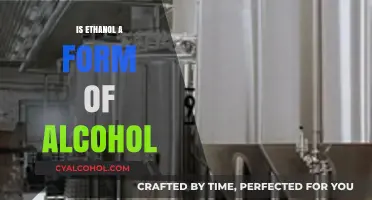 Understanding Ethanol: Is It a Form of Alcohol?