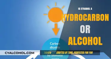 Ethanol: Understanding Its Classification as Hydrocarbon or Alcohol