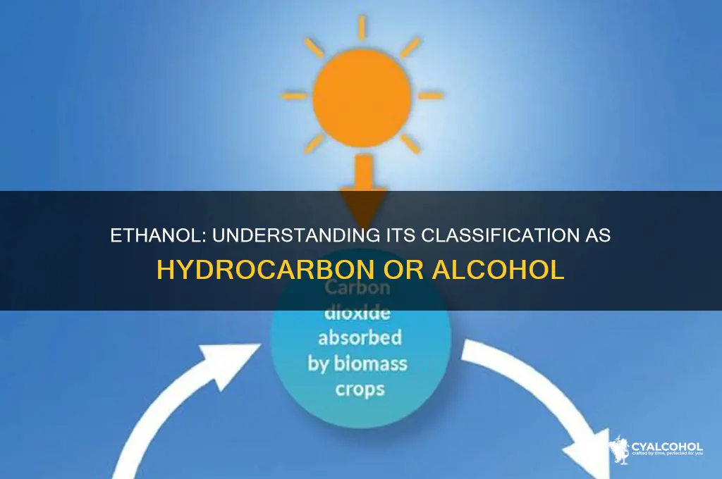 is ethanol a hydrocarbon or alcohol