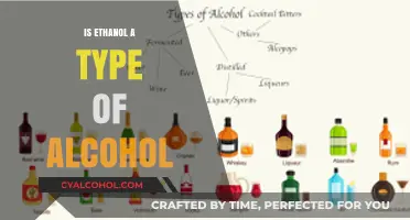 Is Ethanol Alcohol? Understanding Its Classification and Uses