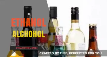 Is Ethanol Alcohol? Understanding Its Role in Beverages and Fuels
