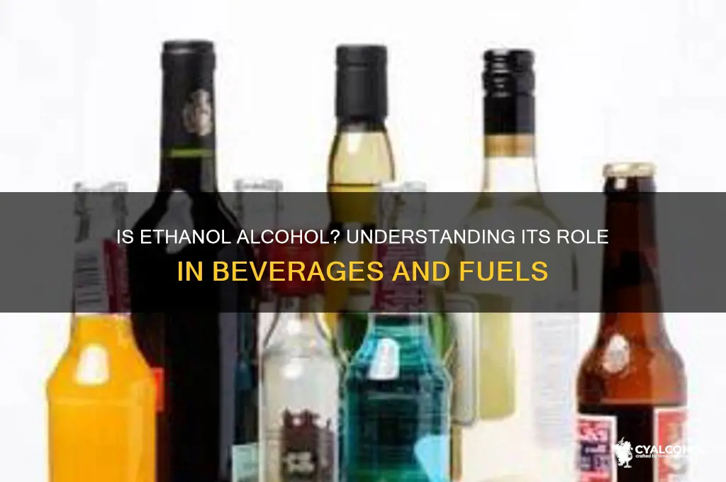 is ethanol alchohol