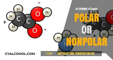 Is Ethanol Alcohol Polar or Nonpolar? Understanding Its Molecular Nature