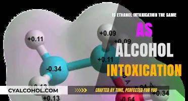 Ethanol vs Alcohol: What's the Difference in Intoxication?