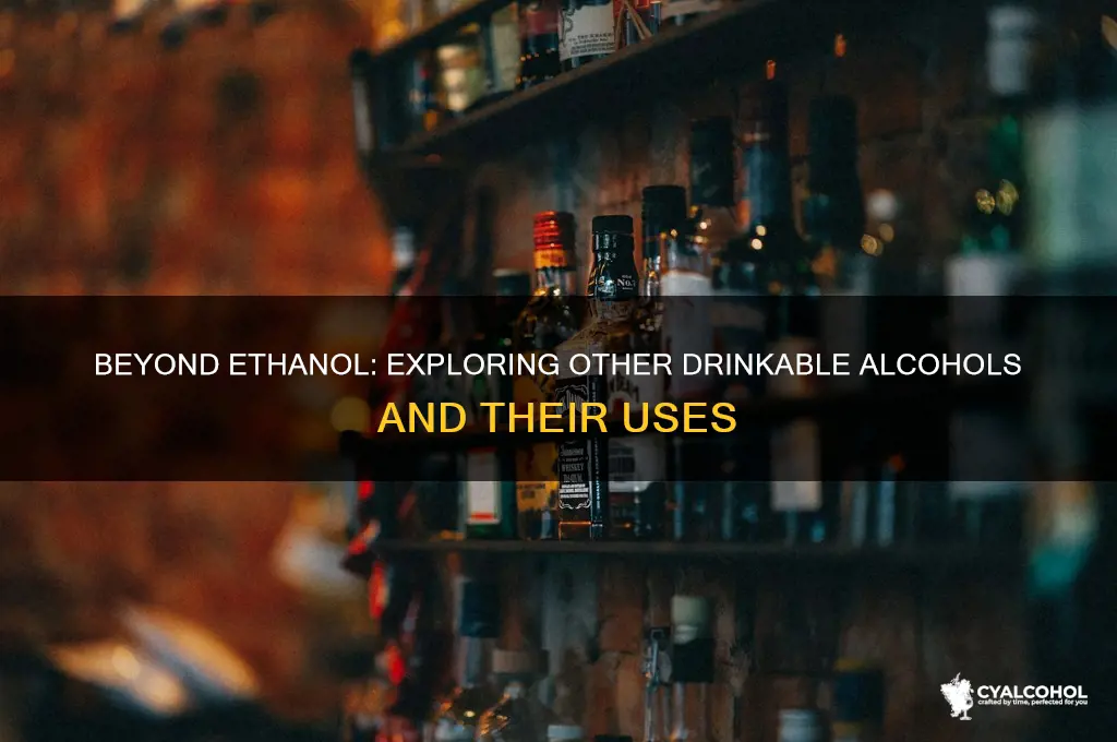 is ethanol the only drinkable alcohol