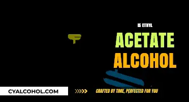 Is Ethyl Acetate Alcohol? Unraveling the Chemical Truth and Uses