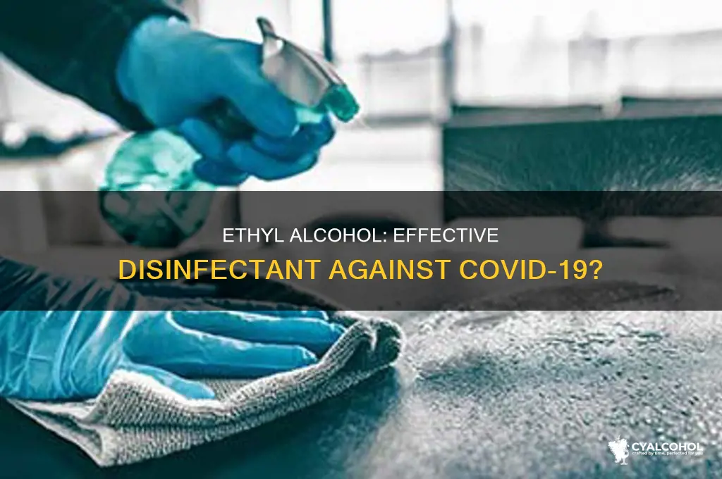 is ethyl alcohol a disinfectant for covid 19