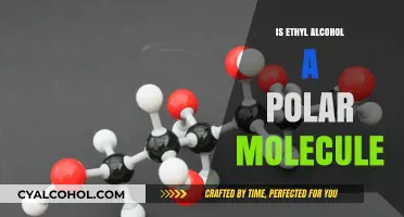 Is Ethyl Alcohol Polar? Understanding Its Molecular Structure and Properties
