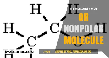 The Nature of Ethyl Alcohol: Polar or Nonpolar?