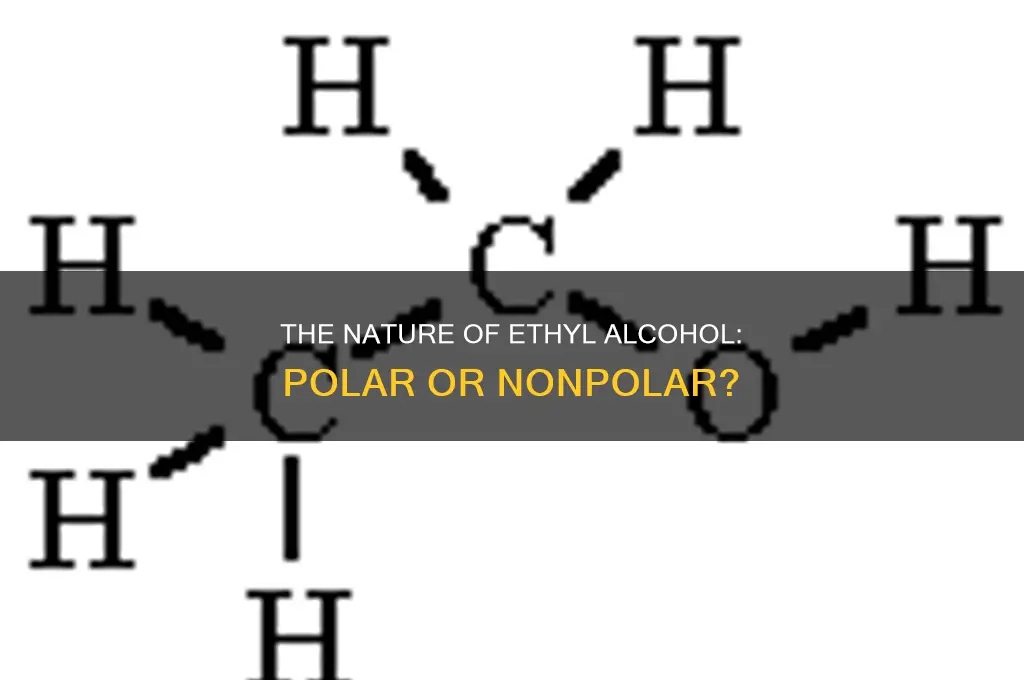is ethyl alcohol a polar or nonpolar molecule