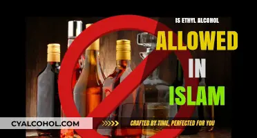 Ethyl Alcohol in Islam: Understanding Religious Permissibility and Boundaries