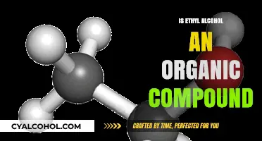 Is Ethyl Alcohol Organic? Exploring Its Chemical Nature and Classification