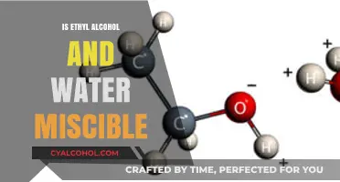 Exploring Ethyl Alcohol and Water: Are They Truly Miscible?