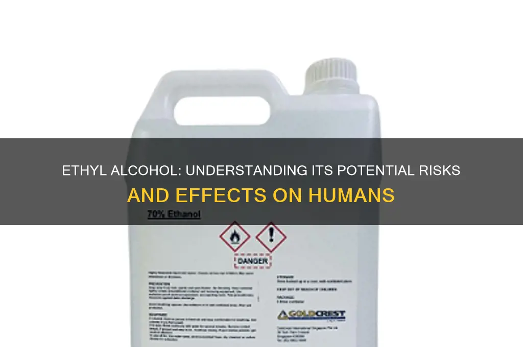 is ethyl alcohol dangerous to humans