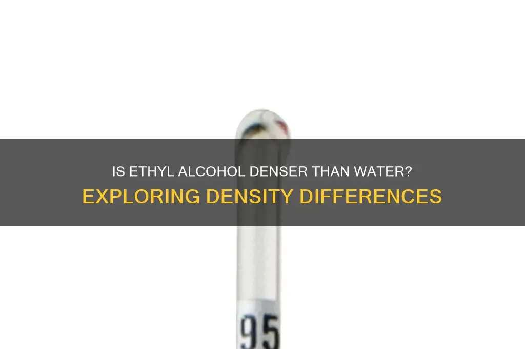 is ethyl alcohol denser than water