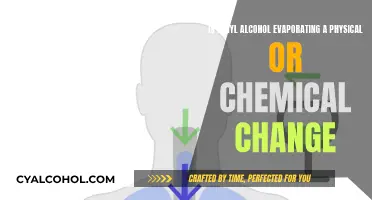 How Evaporation Transforms Ethyl Alcohol: Physical or Chemical Change?