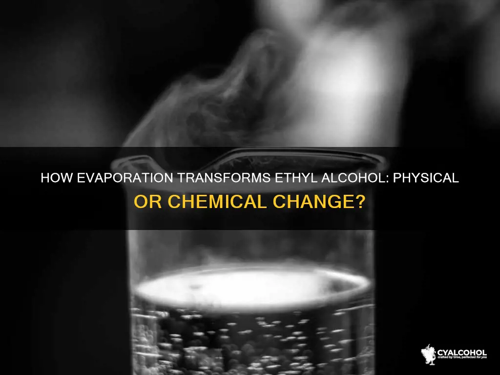 is ethyl alcohol evaporating a physical or chemical change
