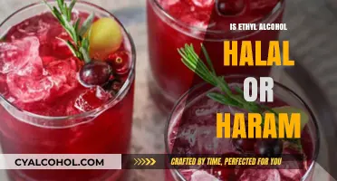 Is Ethyl Alcohol Halal or Haram? Understanding Islamic Perspectives