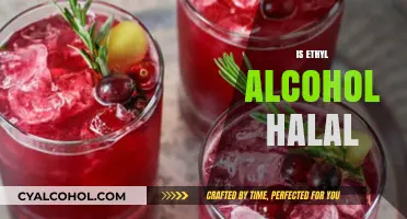 Is Ethyl Alcohol Halal? Exploring Islamic Perspectives on Alcohol Consumption