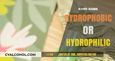 Understanding Ethyl Alcohol: Hydrophobic or Hydrophilic Properties Explained
