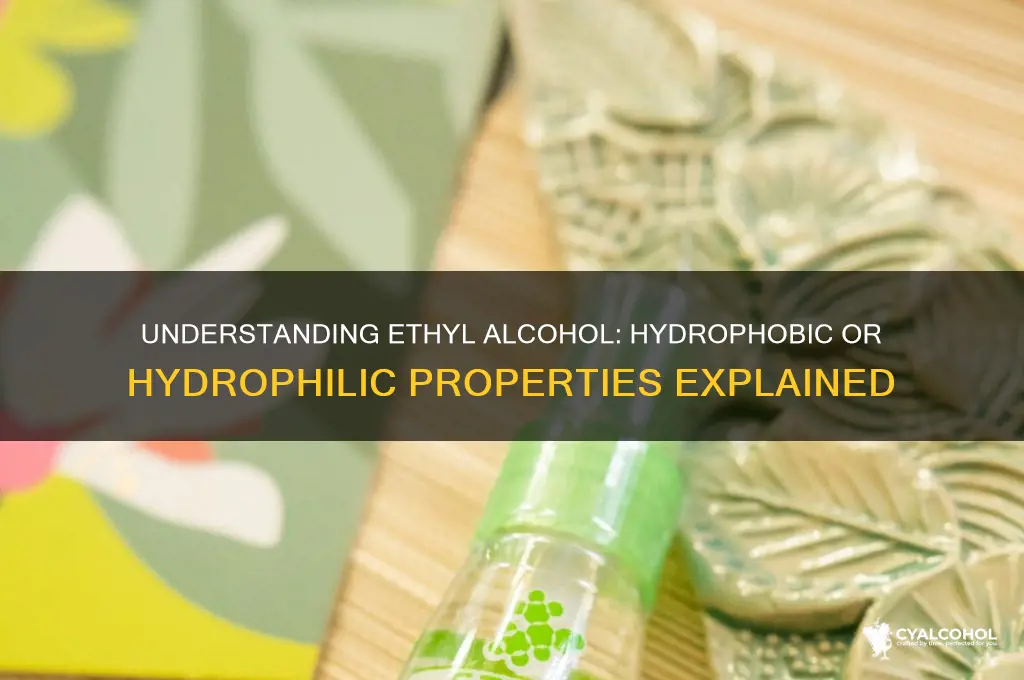 is ethyl alcohol hydrophobic or hydrophilic