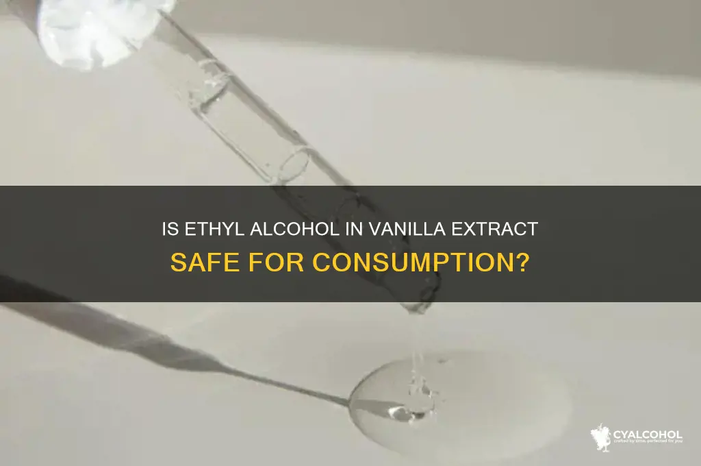 is ethyl alcohol in vanilla extract