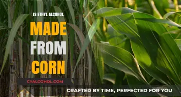 Is Ethyl Alcohol Derived from Corn? Uncovering the Production Process