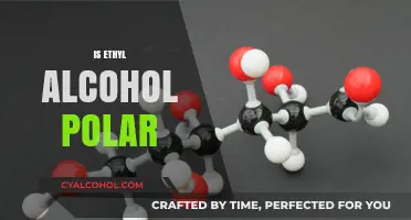 Is Ethyl Alcohol Polar? Understanding Its Molecular Structure and Properties