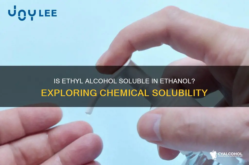 is ethyl alcohol soluble in ethanol