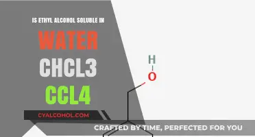 Solubility of Ethyl Alcohol: Water, CHCl3, CCL4