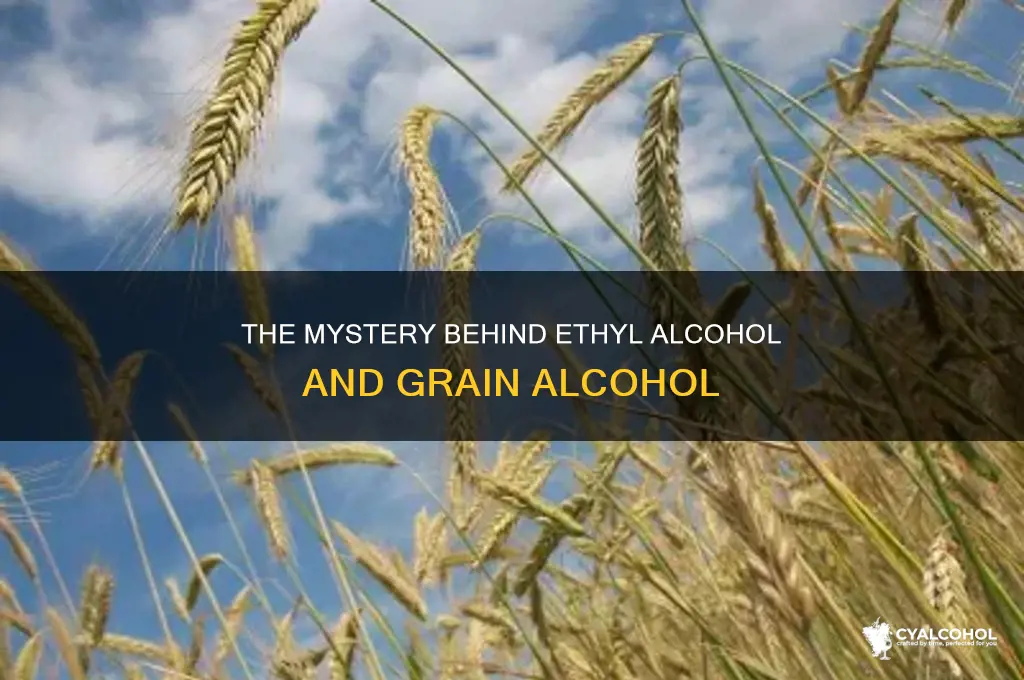 is ethyl alcohol the same as grain alcohol