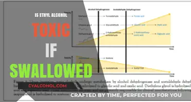 Is Ethyl Alcohol Toxic When Ingested? Understanding the Risks