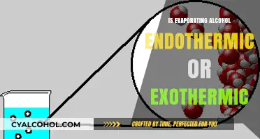 Evaporating Alcohol: Unveiling Its Endothermic or Exothermic Nature