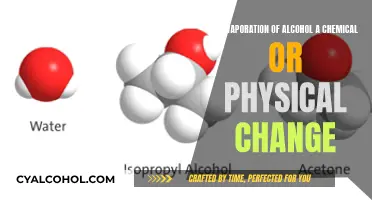 How Evaporation Transforms Alcohol: Chemistry or Physics?