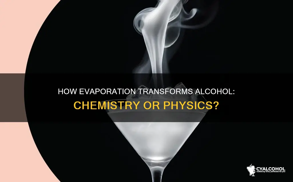 is evaporation of alcohol a chemical or physical change