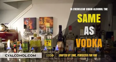 Everclear vs Vodka: What's the Difference?