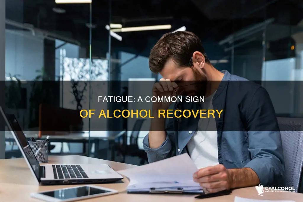 is fatigue a common sign for a recovering alcoholic