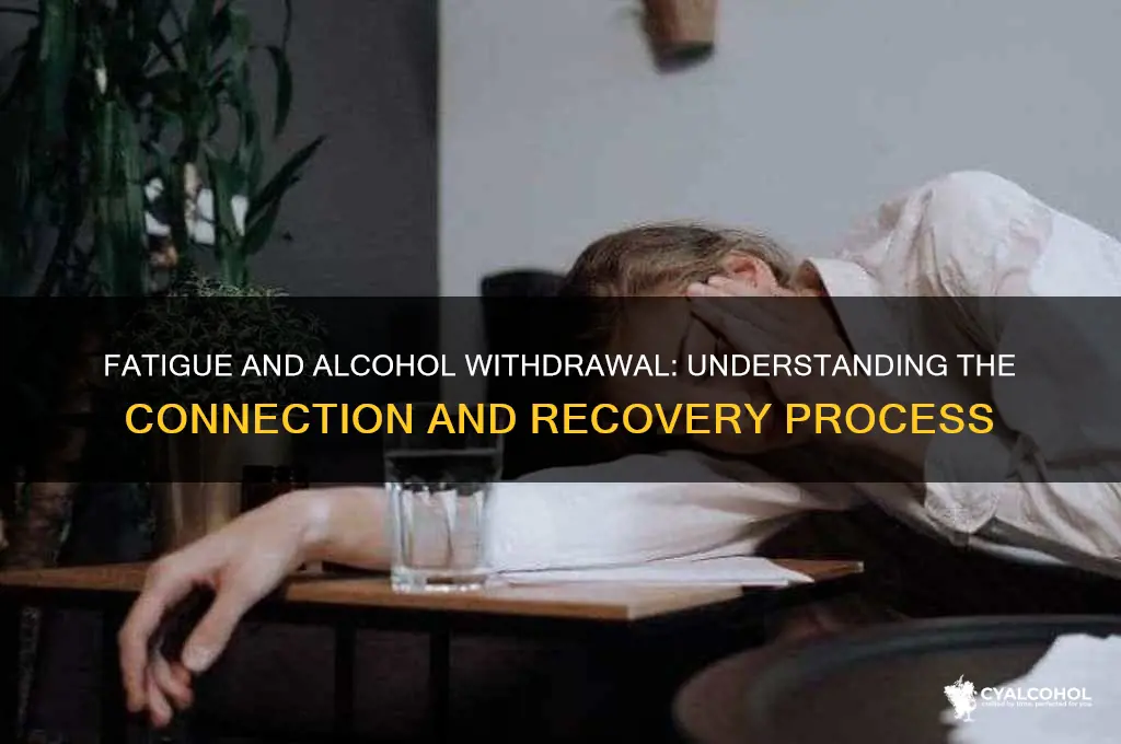 is fatigue an alcohol withdrawal symptom