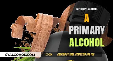 Understanding Fenchyl Alcohol: Primary or Not? A Detailed Analysis
