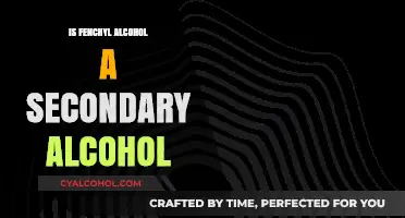 Understanding Fenchyl Alcohol: Is It Classified as a Secondary Alcohol?