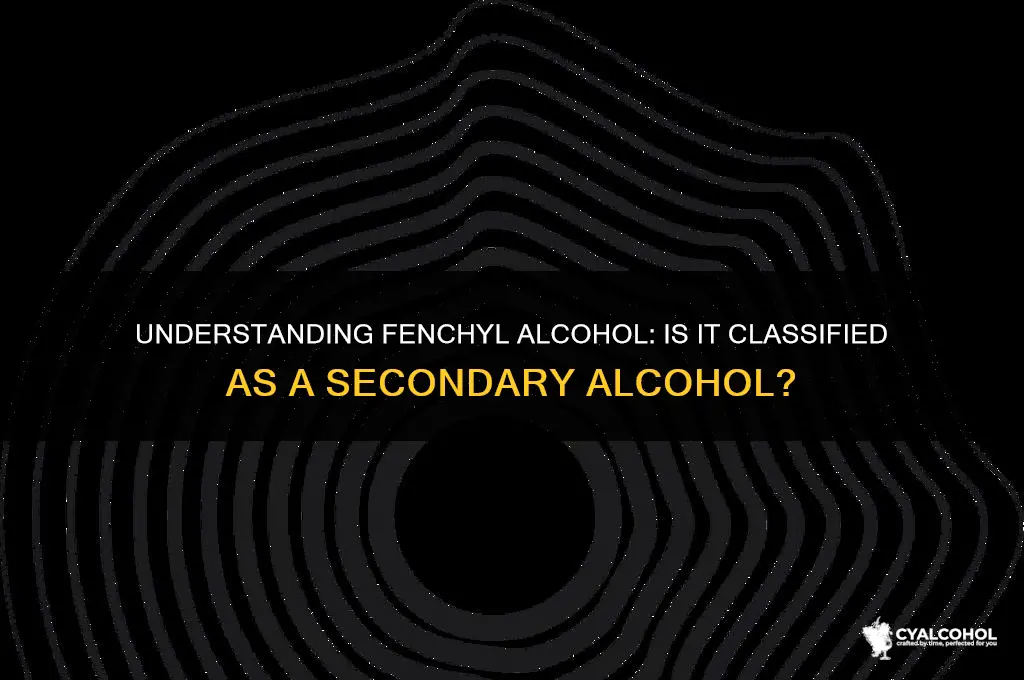 is fenchyl alcohol a secondary alcohol