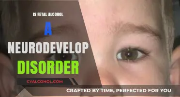 Fetal Alcohol Spectrum Disorders: Unraveling Neurodevelopmental Impacts and Challenges